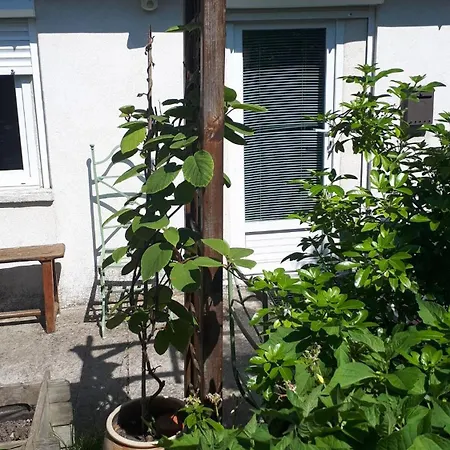 Furnished With A Garden * Plaisir