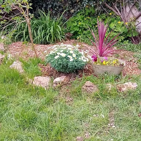 Furnished With A Garden Appartement